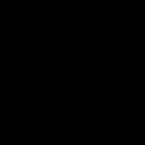 Meet your Posher, Kamdyn